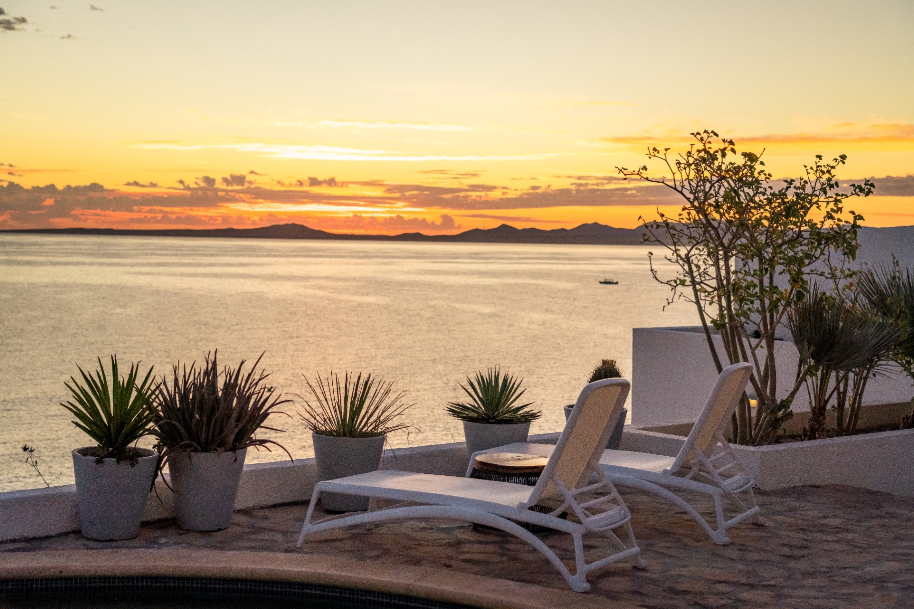 Loungers at golden hour